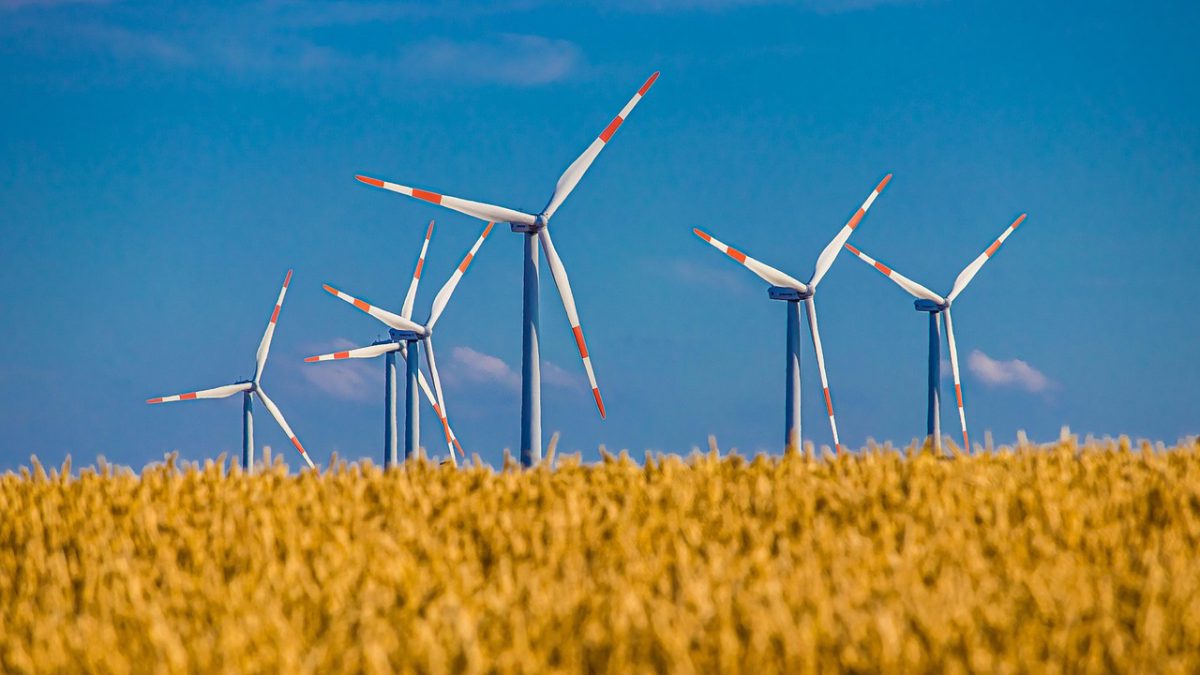 Windmills and wind turbines over a summer grain field under clouds, representing wind power generation